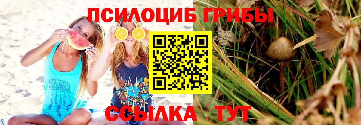 Псилоцибиновые грибы Magic Shrooms Чапаевск